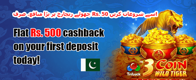 ہفتہ وار ری لوڈ بونس promotion banner